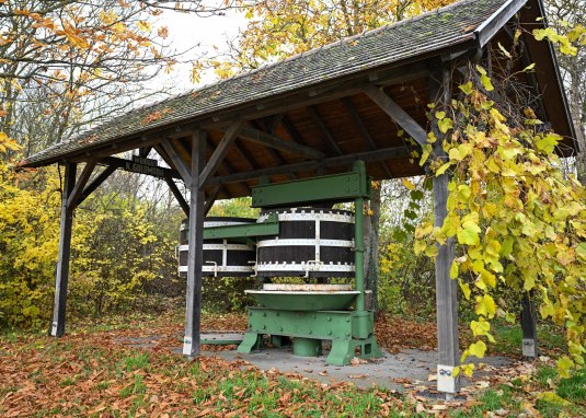 Kelter &copy; Touristikverein Wonnegau e.V.