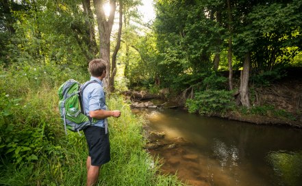 Titelbild_Am Appelbach auf der Hiwweltour Tiefenthaler Höhe, © Dominik Ketz