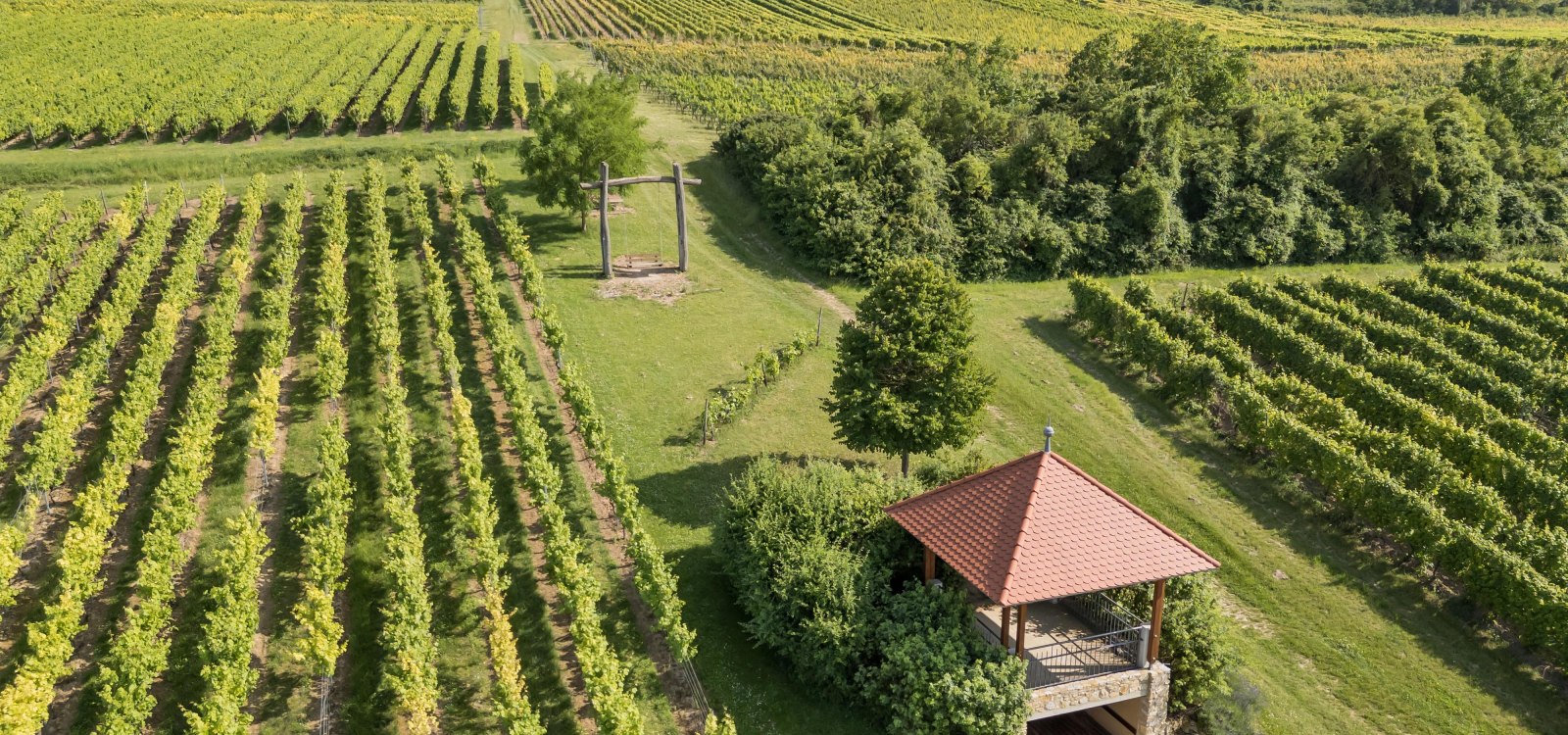 Aussichten von oben, © Verbandsgemeinde Gau-Algesheim