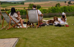 LQ_Maxime Open © Maxime Herkunft Rheinhessen