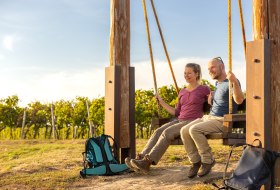 Rheinhessen - Wingertsschaukel Welgesheim &copy; Dominik Ketz/Rheinhessen-Touristik GmbH