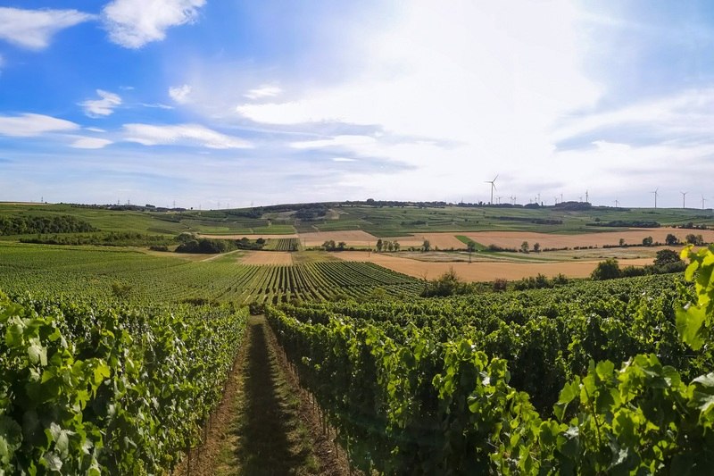 Kloppberg, © Jonas Otte