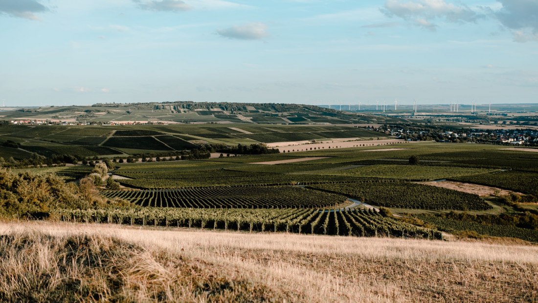 Andreas Brummund_Weinberge 2, © Andreas Brummund - die WeinWerkstatt