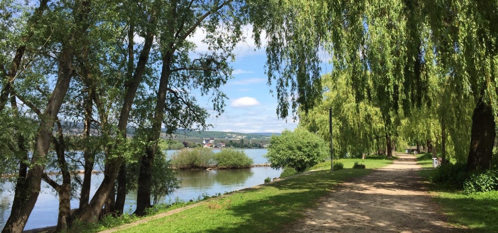 Rheinauen in Ingelheim, &copy; Petra Julius/Stadt Ingelheim