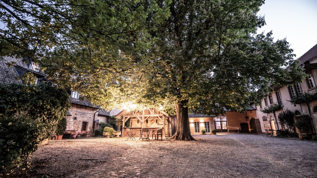 WagnerStempel_HOF_Kastanie_05b
