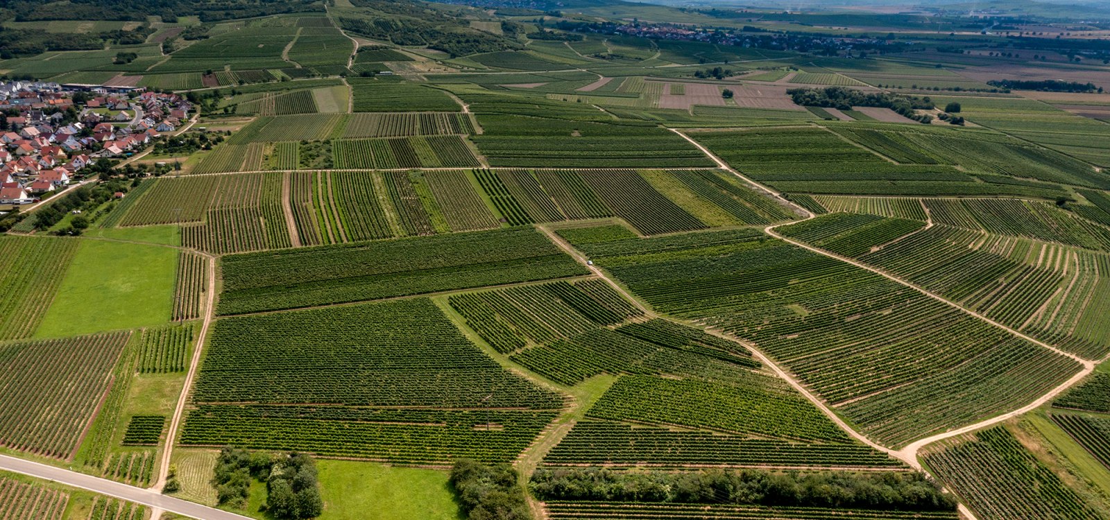 Ockenheimer Hockenmühle