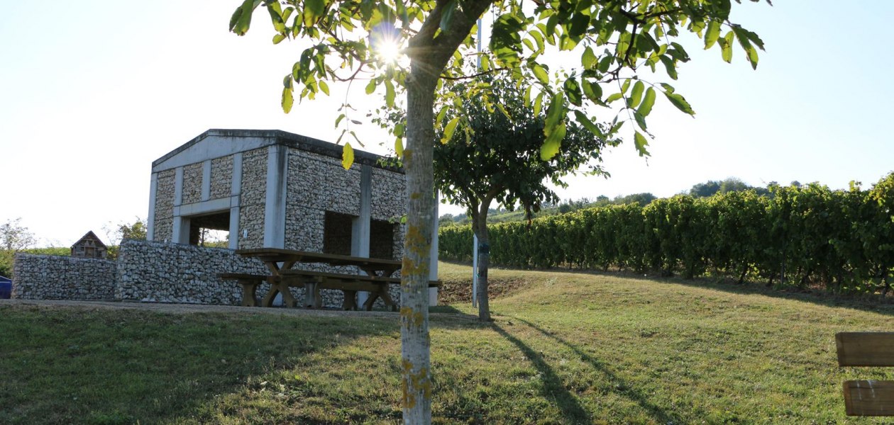 Weinbergsspaziergang Schiefster Turm der Welt, &copy; Angelika Friedrich