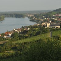 Rheinland Pfalz_Rheinhessen_Winzerhof D&auml;twyl_1291