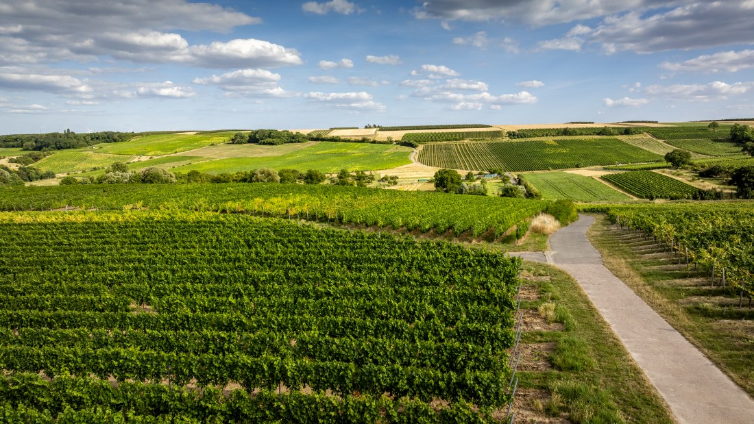 Partenheimer Sankt Georgen-103 Kopie