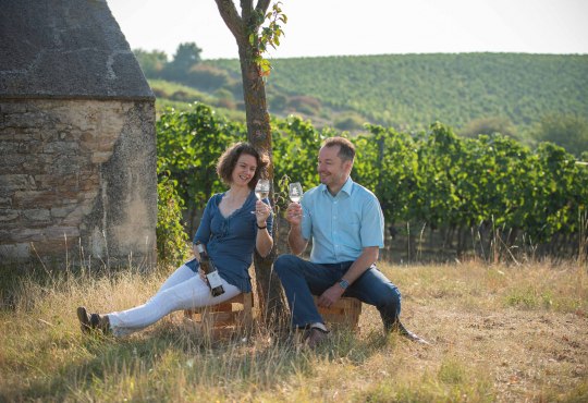Weingut Jung Knobloch