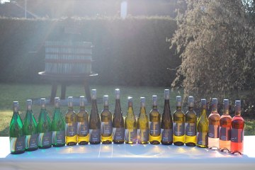 28164699_927383347430570_8890786329750878347_o, &copy; Weingut Siebenhof