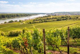 Ausblick am Roten Hang &copy; Dominik Ketz l RPT
