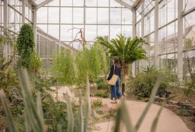 Botanischer Garten &copy; Foto: Ralf Omlor, (Universit&auml;t Mainz, Bot. Garten)