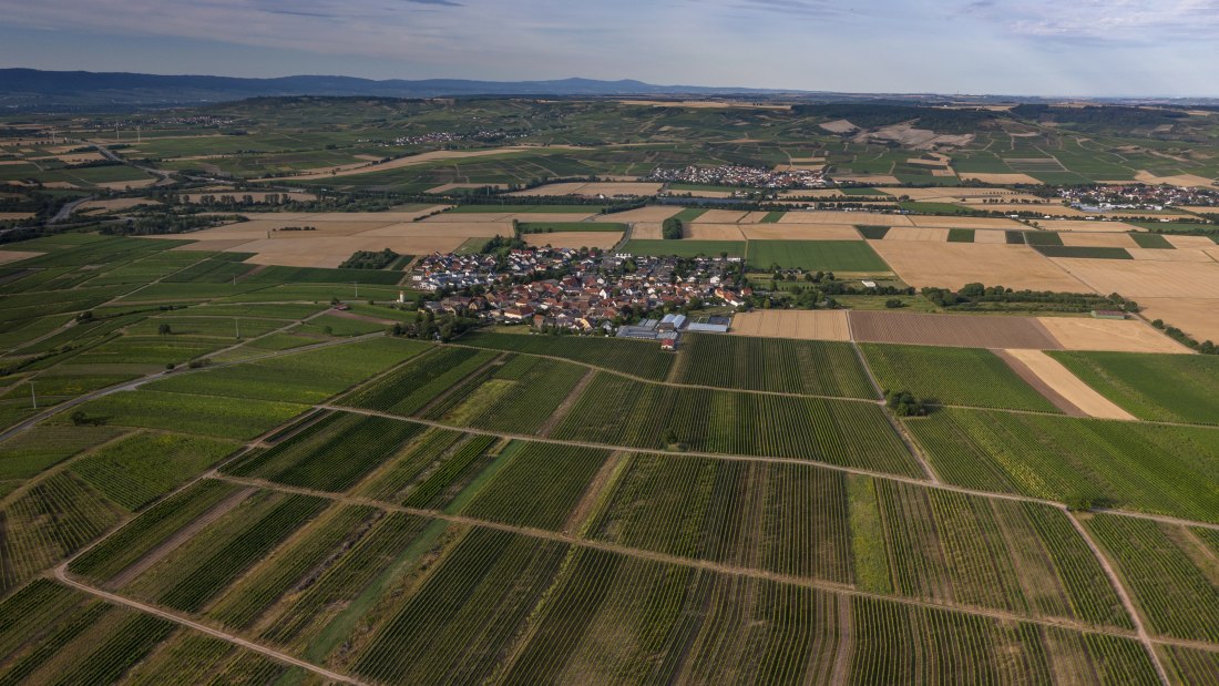 Biebelsheimer Kieselberg