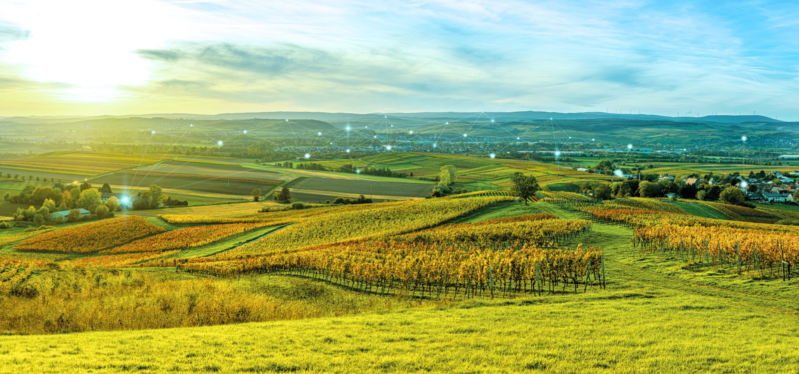 Titelbild LAG Rheinhessen 