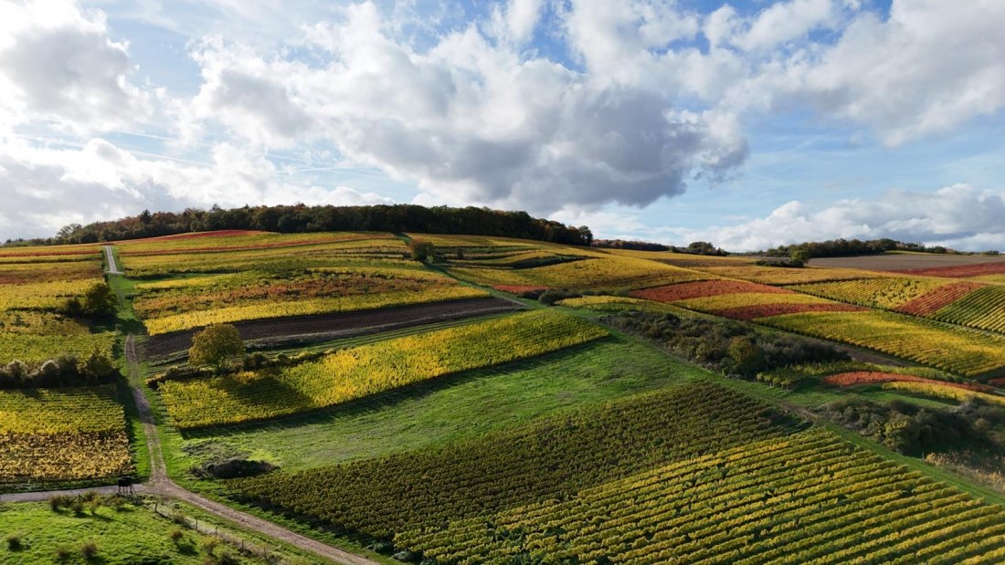 Weingut Breitenbach Herbstlandschaft, © Weingut Breitenbach