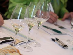Workshop at local wine preview