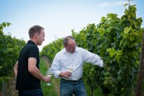 Weingut_Fritzsch_Sprendlingen_k