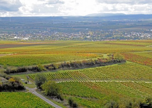 Versteckt in den Weinbergen: Weinbergsschaukeln in der Rheinhessischen Toscana, © Tanja Espenschied