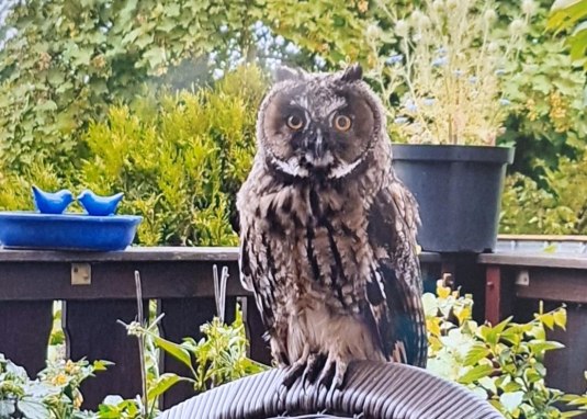 Kultur um 8_Januar 2026 &copy; Nikolaus Strupp