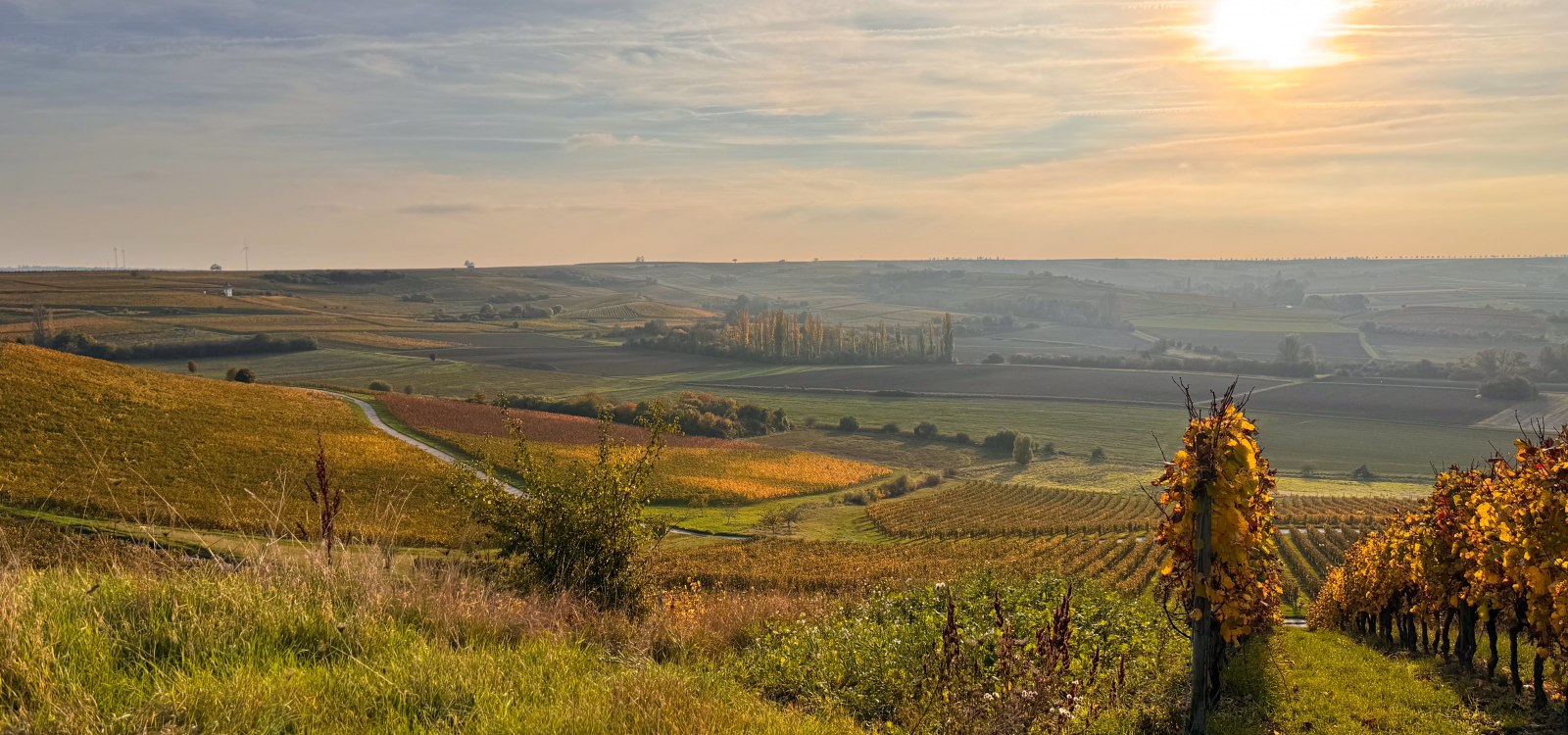 Herbstvibes auf der Hiwweltour Stadecker Warte, © Katja Zentel