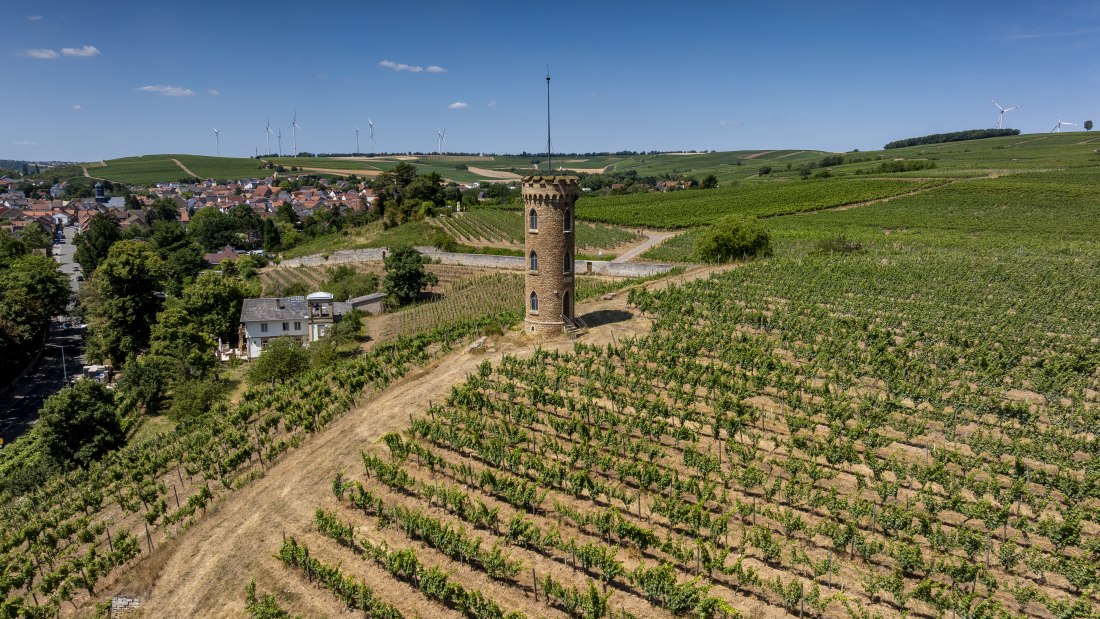 Weinheimer Heiliger Blutberg, &copy; Torsten Silz