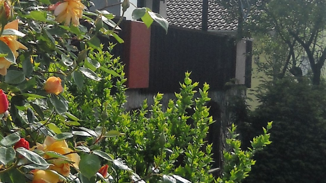 dscn2841-2, &copy; Weingut Blees-Wallich