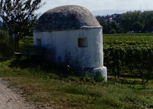 Trullo im Silberberg &copy; VG Monsheim