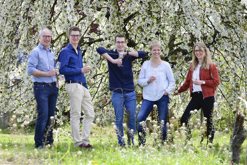 Weingut Singer-Fischer