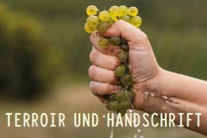 Terroir und Handschrift