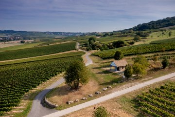 Sprendlinger Wi&szlig;berg