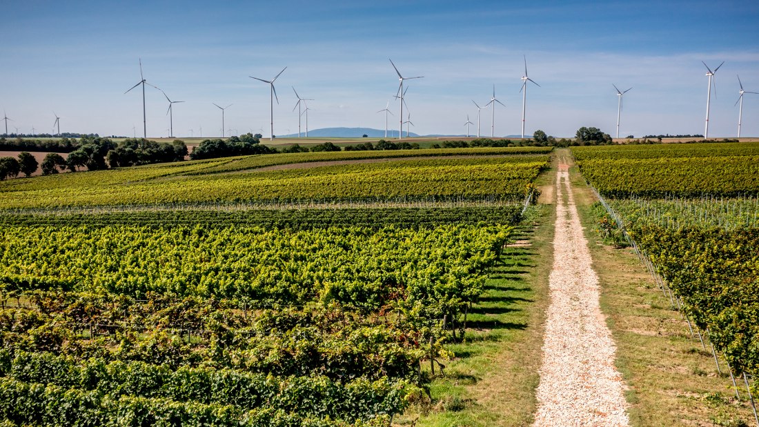 Flomborner Feuerberg