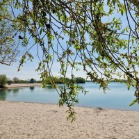 Pfarrwiesensee Gimbsheim