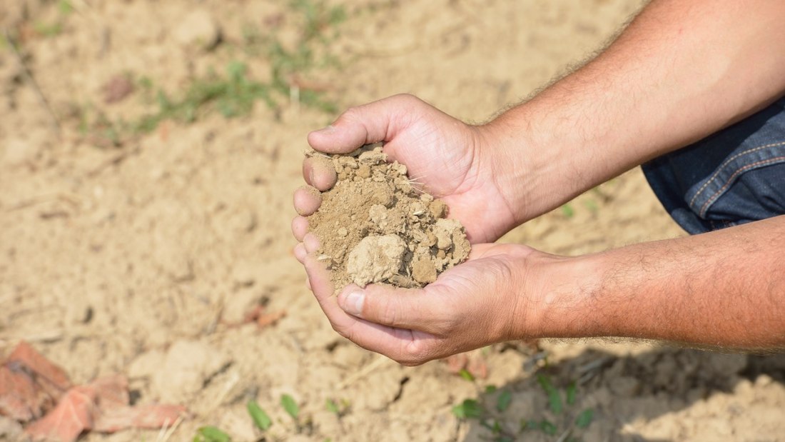 Schweickardt4, © Weingut Schweickardt