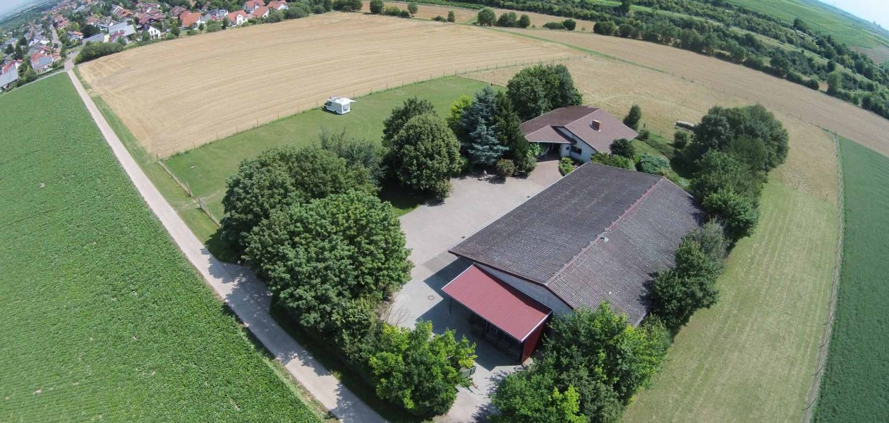 Weingut Borntaler Hof_Au&szlig;enansicht, &copy; Weingut Borntaler Hof
