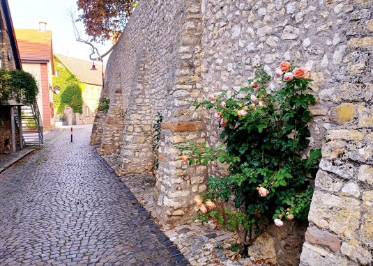 Kirchenmauer Eppelsheim