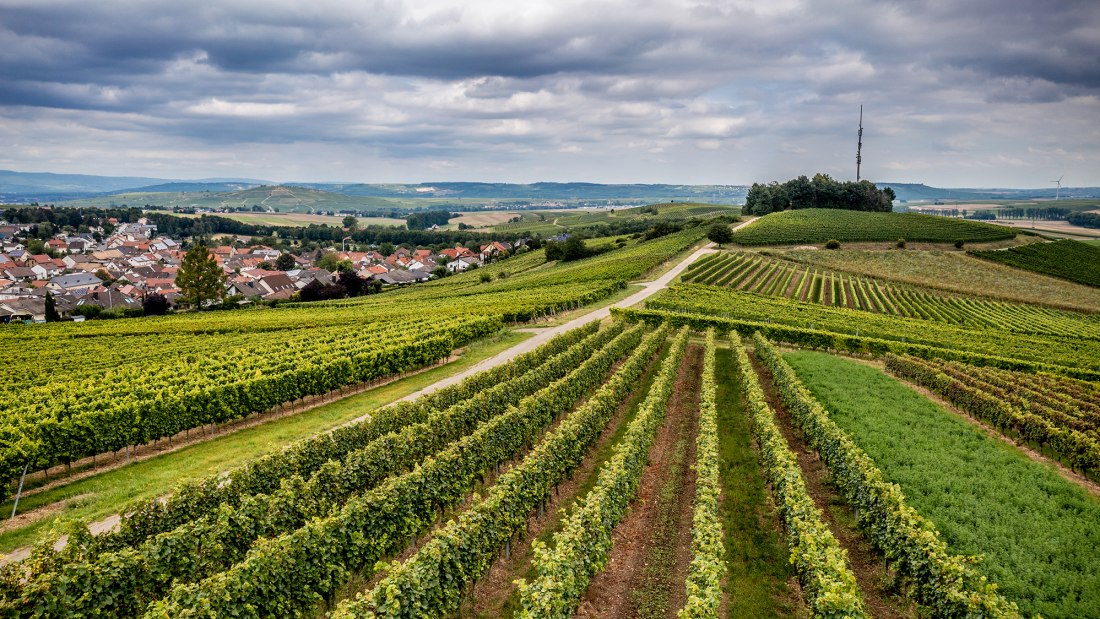 Hackenheimer Kirchberg