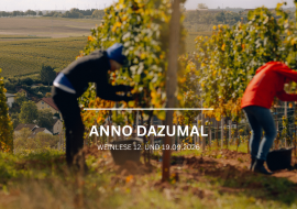 Weinlese Weingut Gehring