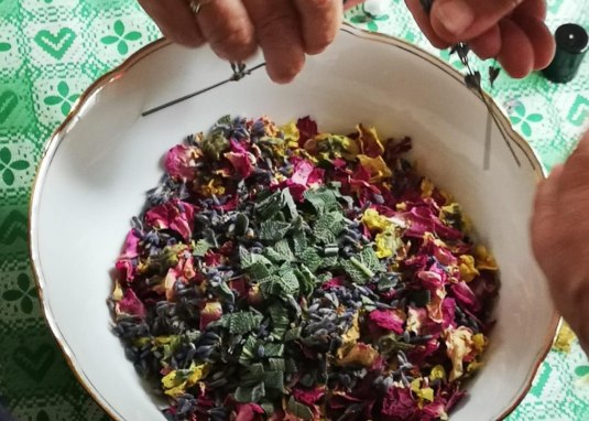 Wildkr&auml;uterwanderung &copy; Adlerhof Projekt GmbH