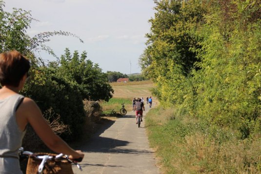 Mehrere Radfahrende fahren auf einem schmalen asphaltierten Weg durch eine l&auml;ndliche Landschaft. Links und rechts wachsen Hecken und B&auml;ume, im Hintergrund sind Felder, ein Haus und eine Windkraftanlage zu sehen.