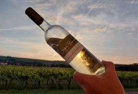Weingut Otto Becker_bei Sonnenuntergang © Weingut Otto Becker