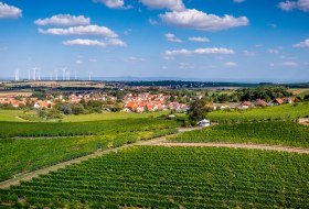 Dittelsheimer Geiersberg