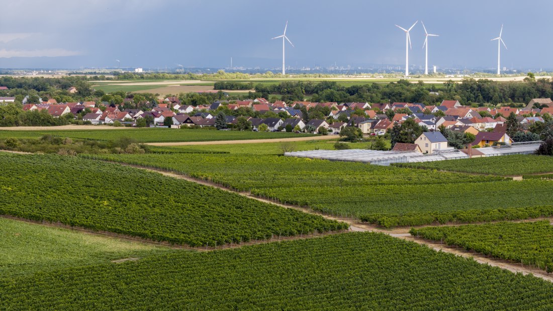 Heppenheimer Affenberg, © Torsten Silz