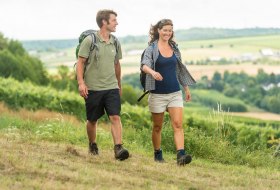 Wandern in Rheinhessen