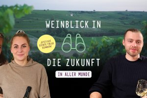 Titel Webserie 7