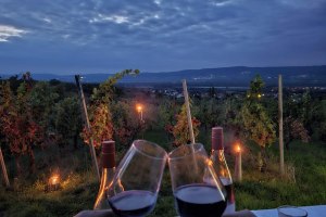 Weingut Claushof, &copy; Weingut Claushof