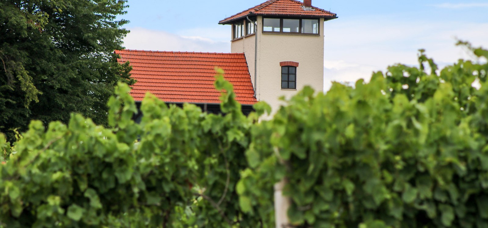 titelbild-stadecker-warte