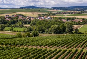 Badenheimer Galgenberg