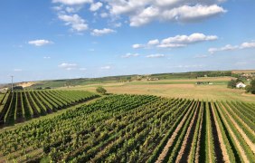 Ausblick vom Wendelsheimer Turm &copy; S. Kemmeter