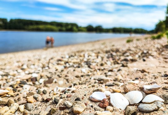 Rheinmomente zum Verlieben - Rheinstrand, &copy; Silas Landeck